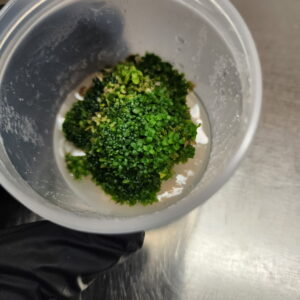 Monte Carlo TC 6oz Cup